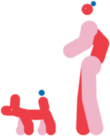 Right Image Right Image