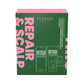 Repair & Scalp Brush Trio